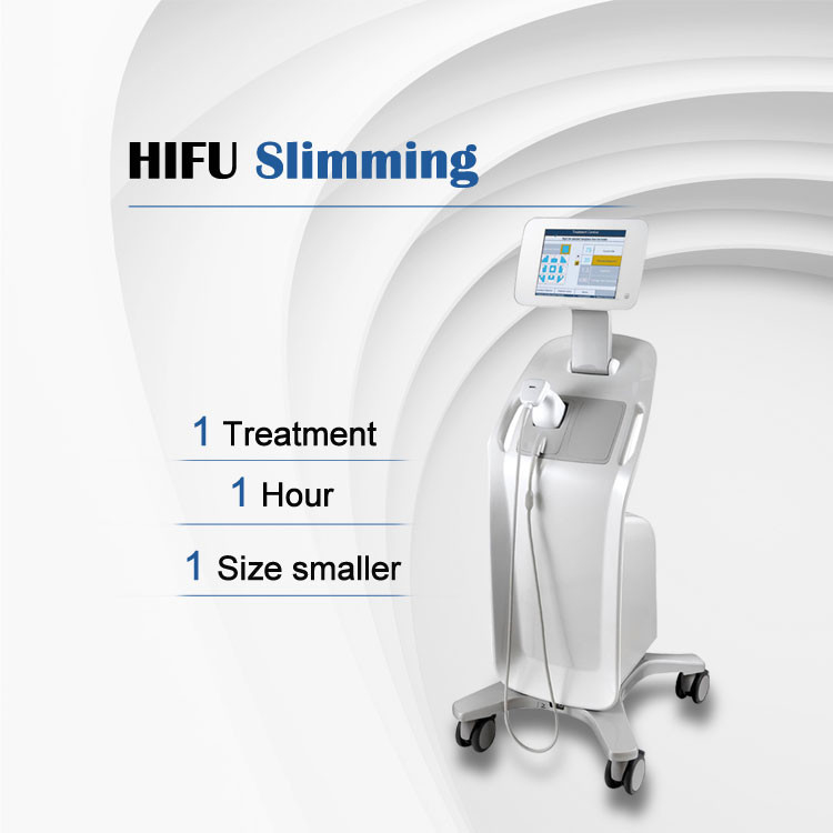 2 Cartridges 8mm 13mm Hifu Machine Liposonic Body Slimming Device