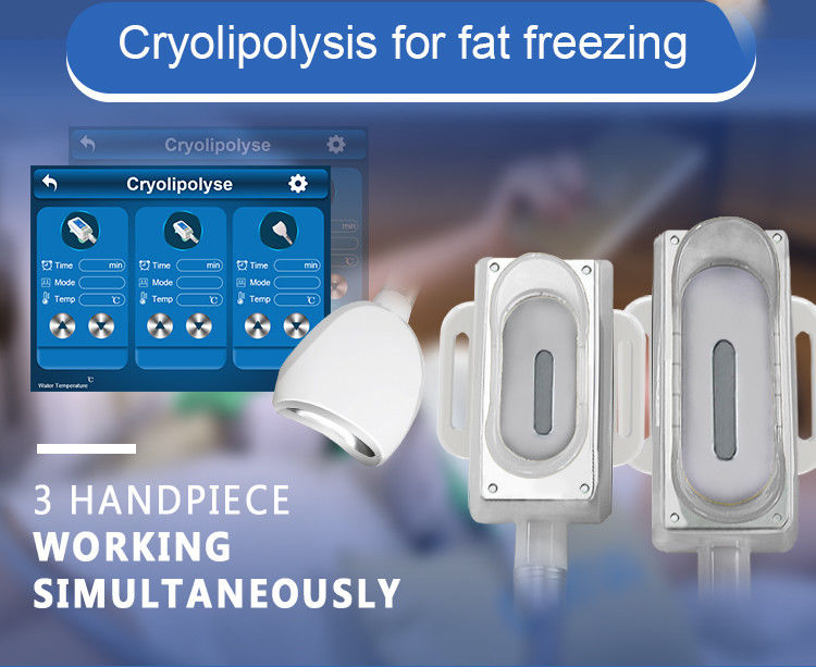 Touch Screen Lipo Cavitation RF Cryolipolysis Slimming Machine