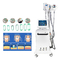 Cooling Sculpture Cryolipolysis Slimming Machine For Fat Reduction