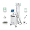 Cryolipolysis Fat Removal Machine Cooling Sculpting Noninvasive Fat Reduction