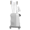 Painless 3 Handles Cryolipolysis Fat Freezing Machine Body Double Chin Removal