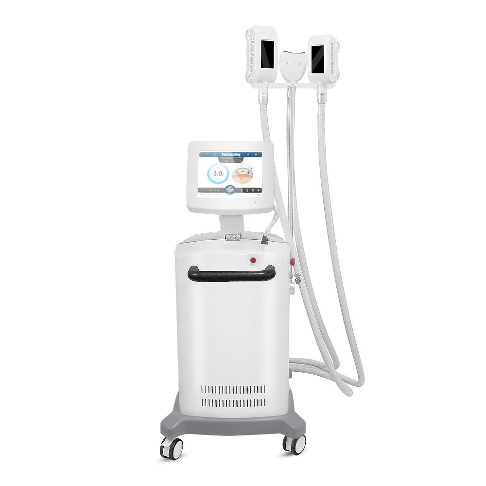 Cellulite Reduction Cryolipolysis Slimming Machine With CE