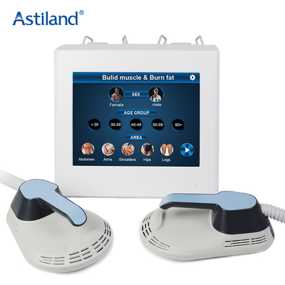 Cost Effecttive EMS Body Slimming Machine Portable Body Shape Machine