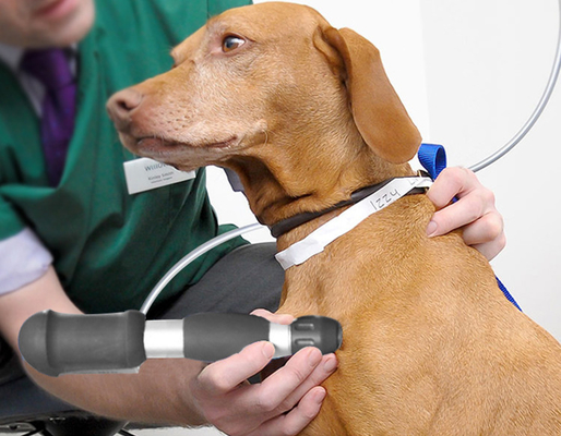 Veterinary Chiropractic & Animal ESWT Machine Acoustic Wave Massager