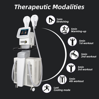 Astiland 220V EMT Sculptmax EMS Slimming Machine