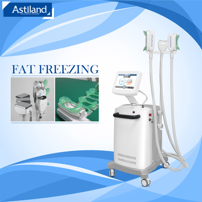 2000W Cryo & shockwave 8 Size Head For Fat Removal Machine