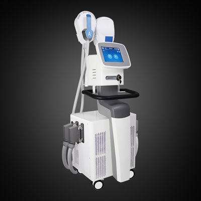 Non-Invasive Body Sculpting Fat Freezing Abs Ems Sculpting Machine 4 Handles