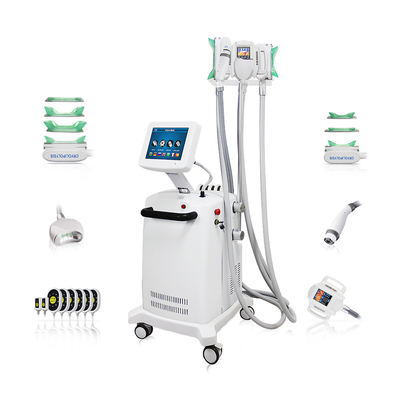 10.4 Inch Color Touch Screen Cryo-lipo Slimming Machine for Professional Fat Reduction