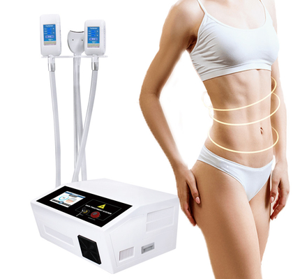 Best 360 Fat Freezing Cryolipolisis Slimming Machine For Salon Personal Care