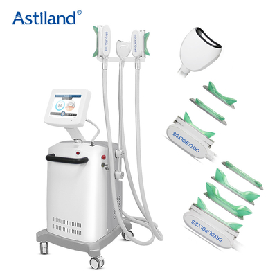 Painless 3 Handles Cryolipolysis Fat Freezing Machine Body Double Chin Removal